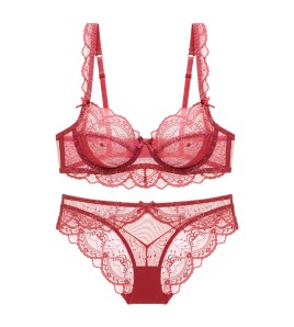 WLMZ113100001 法式蕾絲內衣女超薄無海綿性感內衣套裝大胸顯小防下垂上托文胸罩