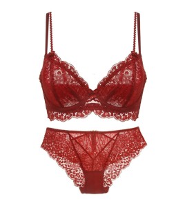WLMZ113100072 Sexy lace underwear for women French ultra-thin big breasts showing small plus size underwear animal year red bra set