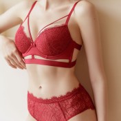 WLMZ113100124 性感紅色蕾絲文胸套裝鏤空刺繡鋼圈聚攏上托內衣胸罩內褲