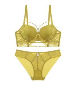 WLMZ113100145 French sexy underwear, small breasts appear larger, push-up bra, animal year red lace underwear set