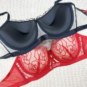 WLMZ113100148 法式性感內衣小胸顯大聚攏收副乳內衣玫瑰花刺繡蕾絲文胸套裝