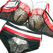 WLMZ113100148 法式性感內衣小胸顯大聚攏收副乳內衣玫瑰花刺繡蕾絲文胸套裝