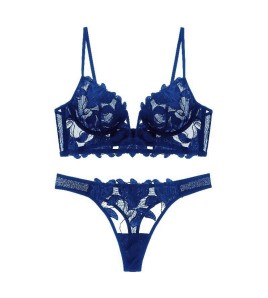 WLMZ113100246 性感內衣超薄深V刺繡蕾絲內衣大胸顯小大碼上托文胸套裝胸罩