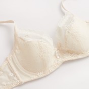 WLMZ113100341 性感蕾絲內衣夏季純欲薄杯軟鋼圈法式內衣大胸顯小大碼文胸罩