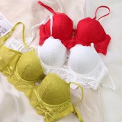 WLMZ113100420 法式性感蕾絲內衣小胸顯大聚攏收副乳文胸防下垂大碼內衣套裝