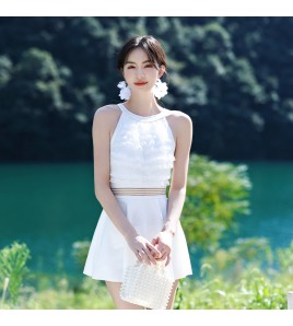 LFWN121100017 2025新款純色泳衣女夏高級感連體裙式小胸聚攏遮肚顯瘦保守游泳裝