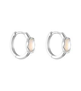 SATN122E100106 S925純銀小眾設計幻彩月光石耳環女高級感冷淡風耳圈簡約時尚耳扣