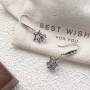 SATN122E100129 S925純銀超閃星星耳釘女氣質韓版五角星耳環輕奢耳墜高級感耳飾