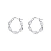 SATN122E100249 S925純銀個性小眾設計波浪扭紋耳環女氣質時尚簡約耳圈秋冬耳飾品