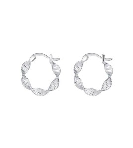 SATN122E100249 S925純銀個性小眾設計波浪扭紋耳環女氣質時尚簡約耳圈秋冬耳飾品