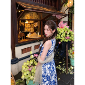 FCSE61001002 Retro Resort Style Blue and White Porcelain Print Sleeveless Dress