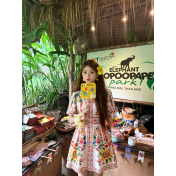 FCSE6902002 New Women's V-neck Short-sleeved Printed Dress with Waist-cinching Casual Resort Maxi Dress
